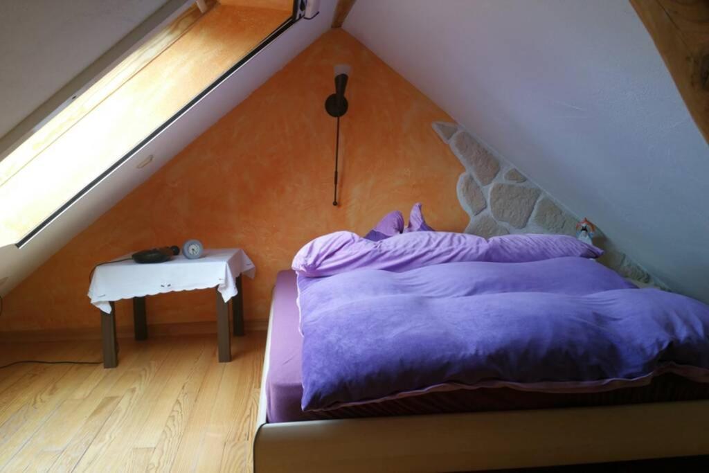 Ferienwohnung Roswitha In Blieskastel Biesingen Exteriér fotografie