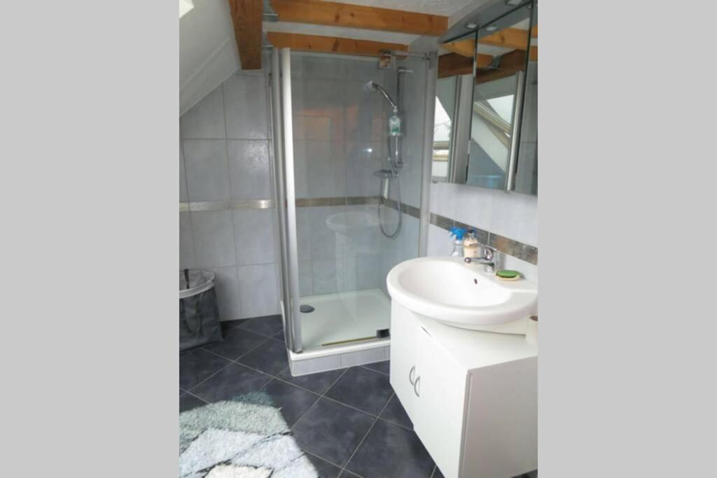 Ferienwohnung Roswitha In Blieskastel Biesingen Exteriér fotografie